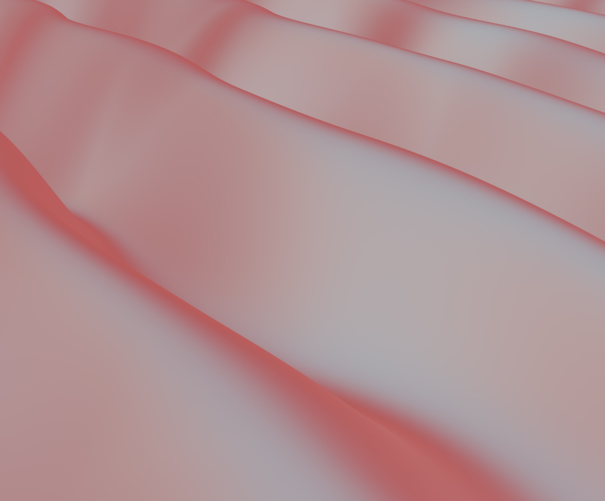 디자이너 대표 이미지